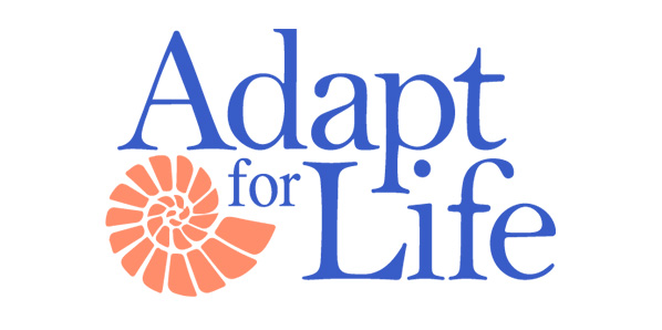 life-adaptive-lp-image